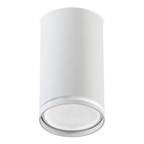 Светильник накладной Smartbuy TS2008 GU10 220В Белый 55х100мм картинка 